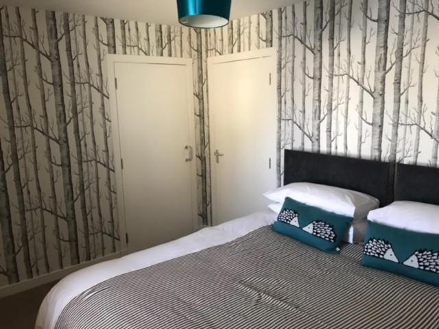 Thurso Self Catering Pet Friendly Holiday Lets Exterior foto